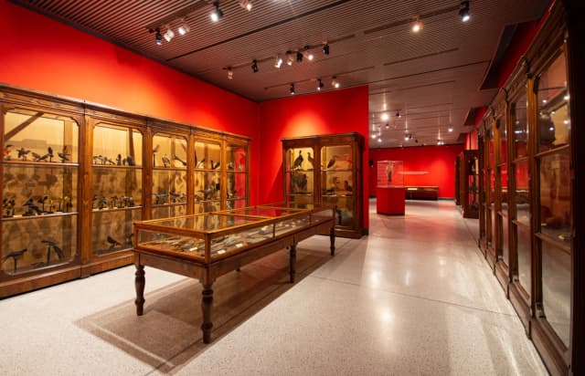 Interno del Museo di Storia Naturale