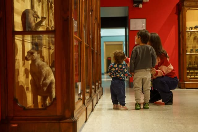 Famiglia all'interno del Museo di Storia Naturale